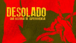 Desolado, una historia de supervivencia