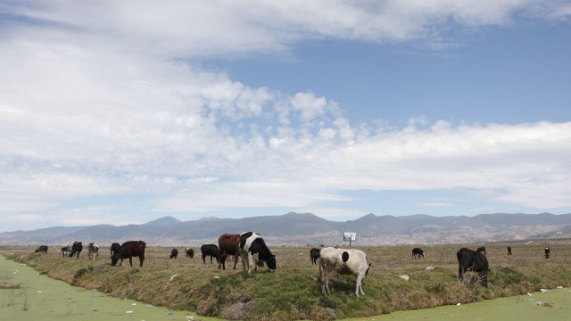 Río Lerma