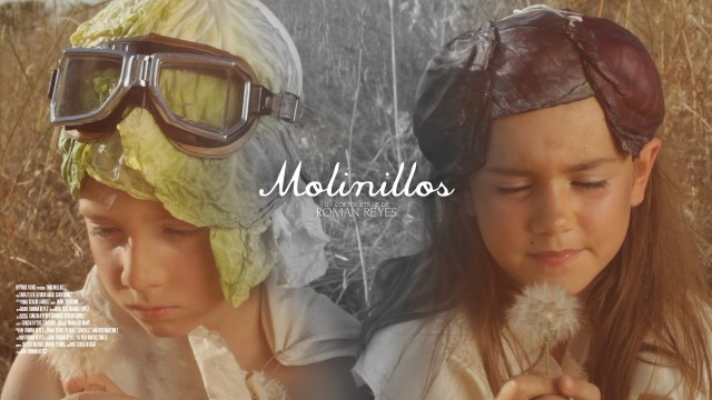 Molinillos