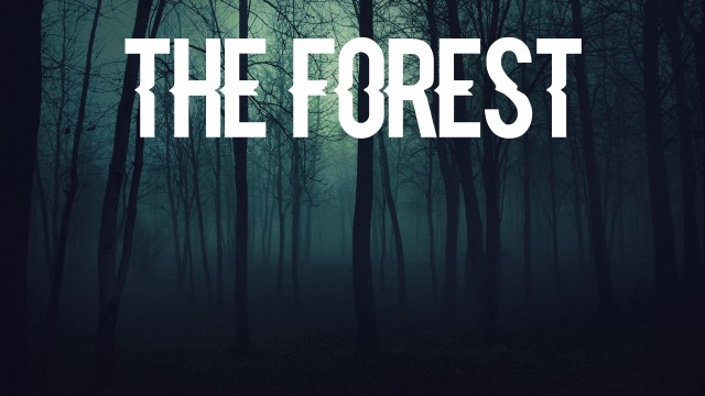 The forest