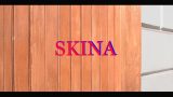 Skina