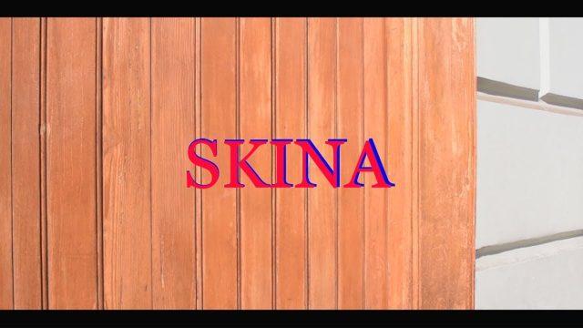 Skina